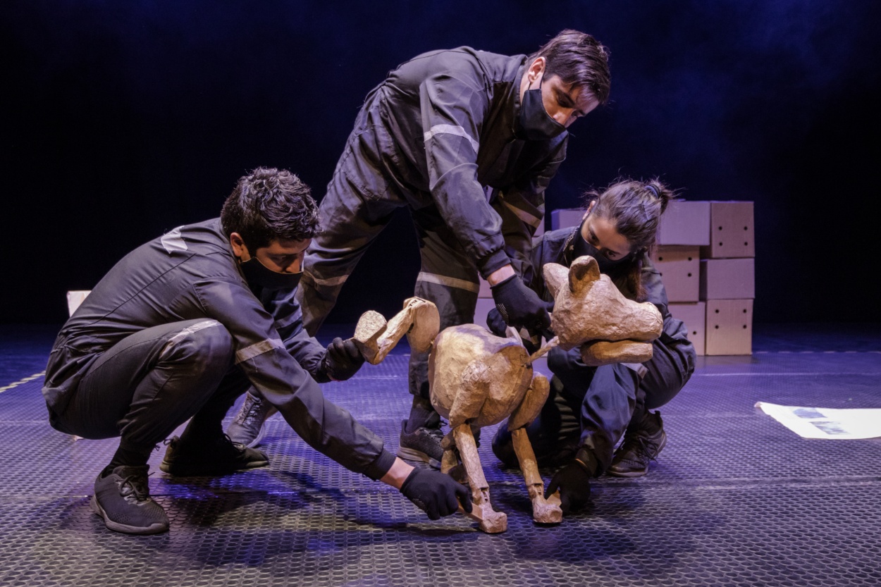 perro callejero-41 - Compañía teatro merken Coquimbo
